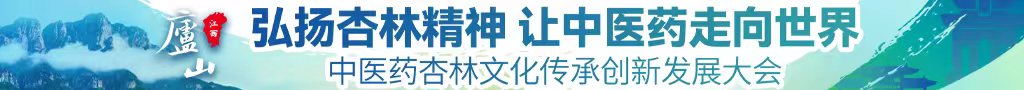 啊啊啊啊插入高喷中医药杏林文化传承创新发展大会